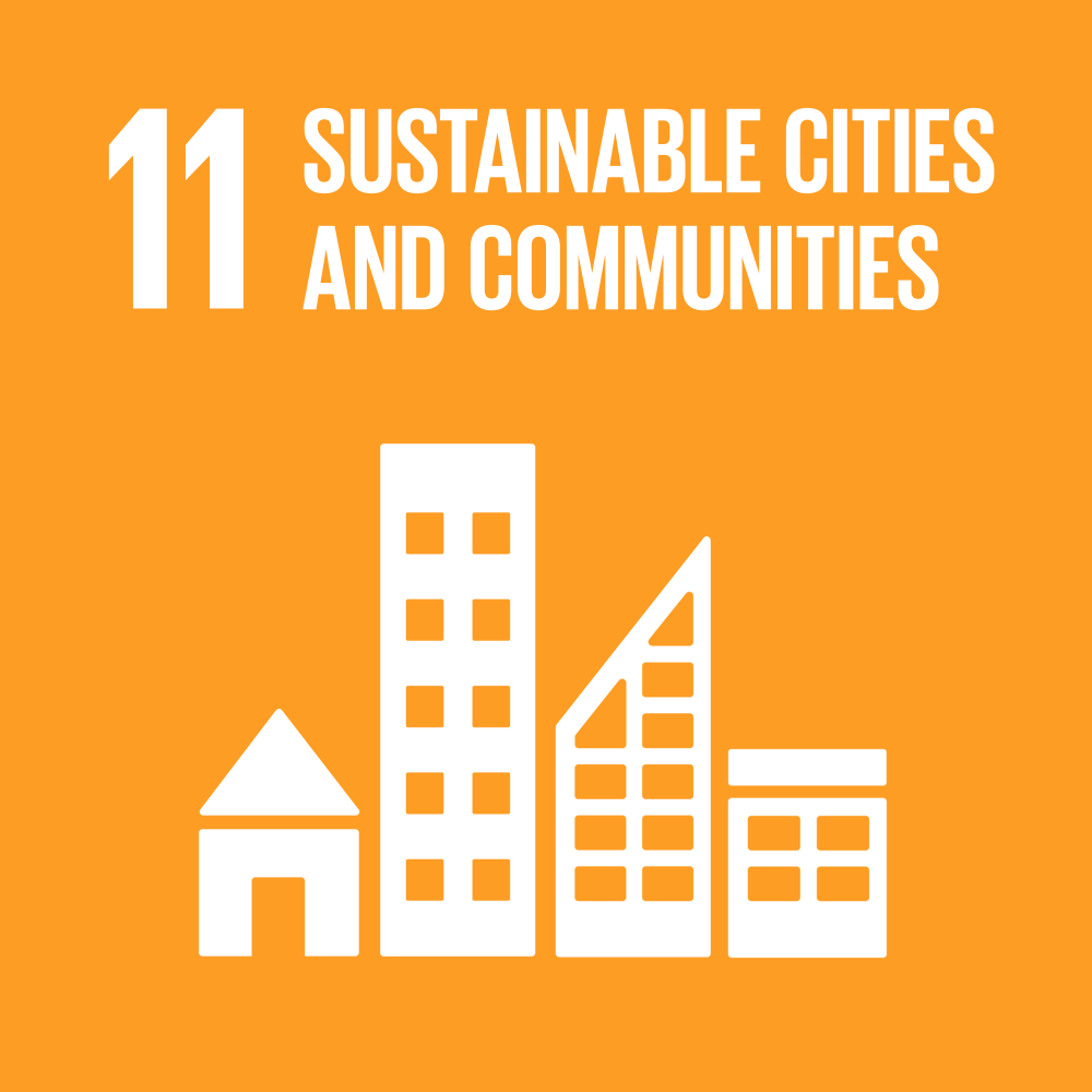 SDG 11 icon