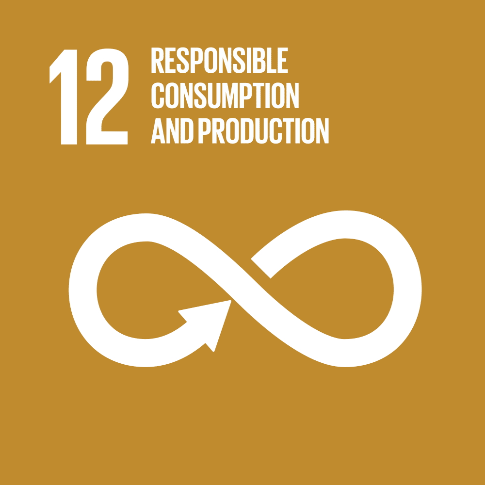 SDG 12 icon
