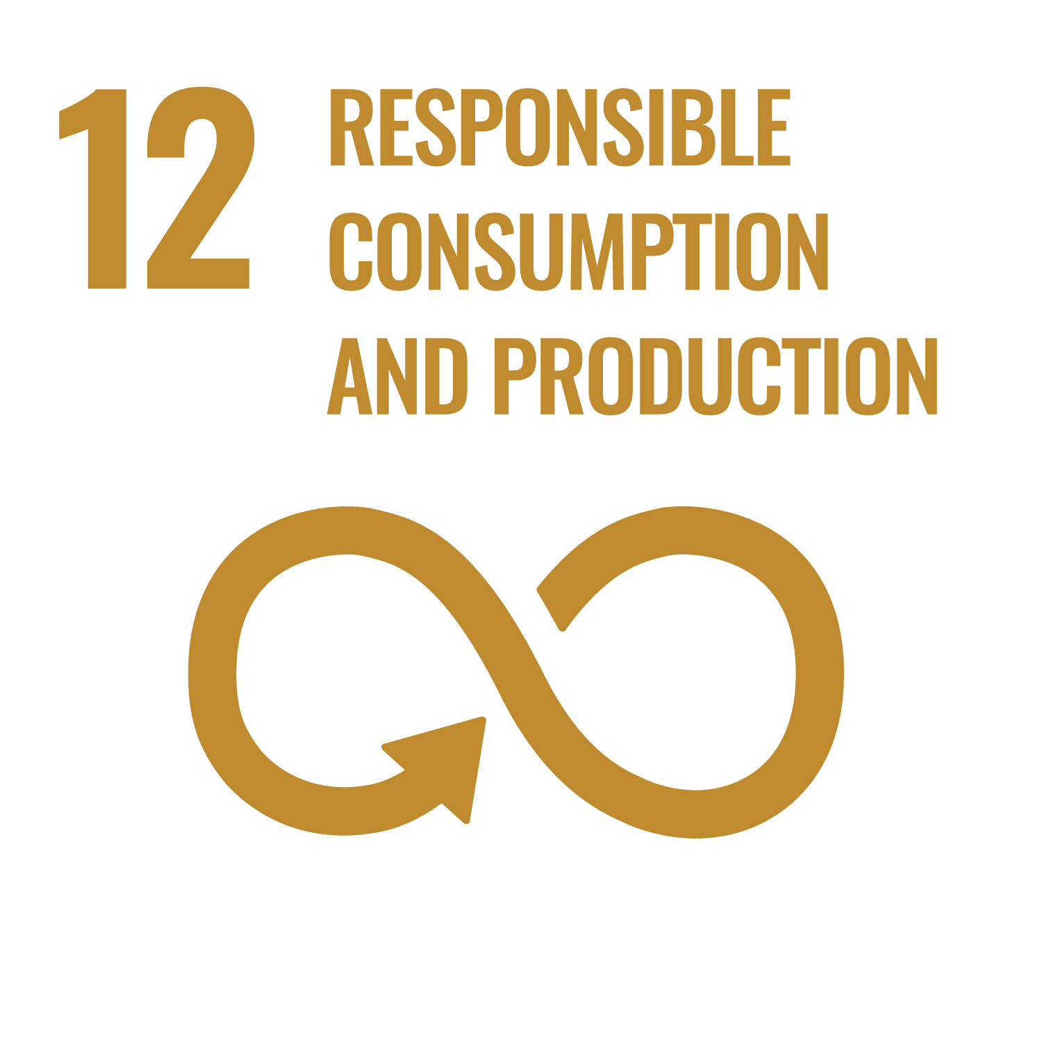 SDG 12 inverted icon