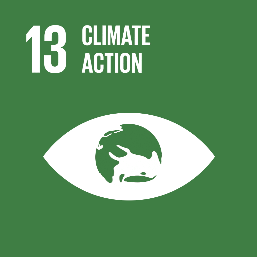 SDG 13 icon