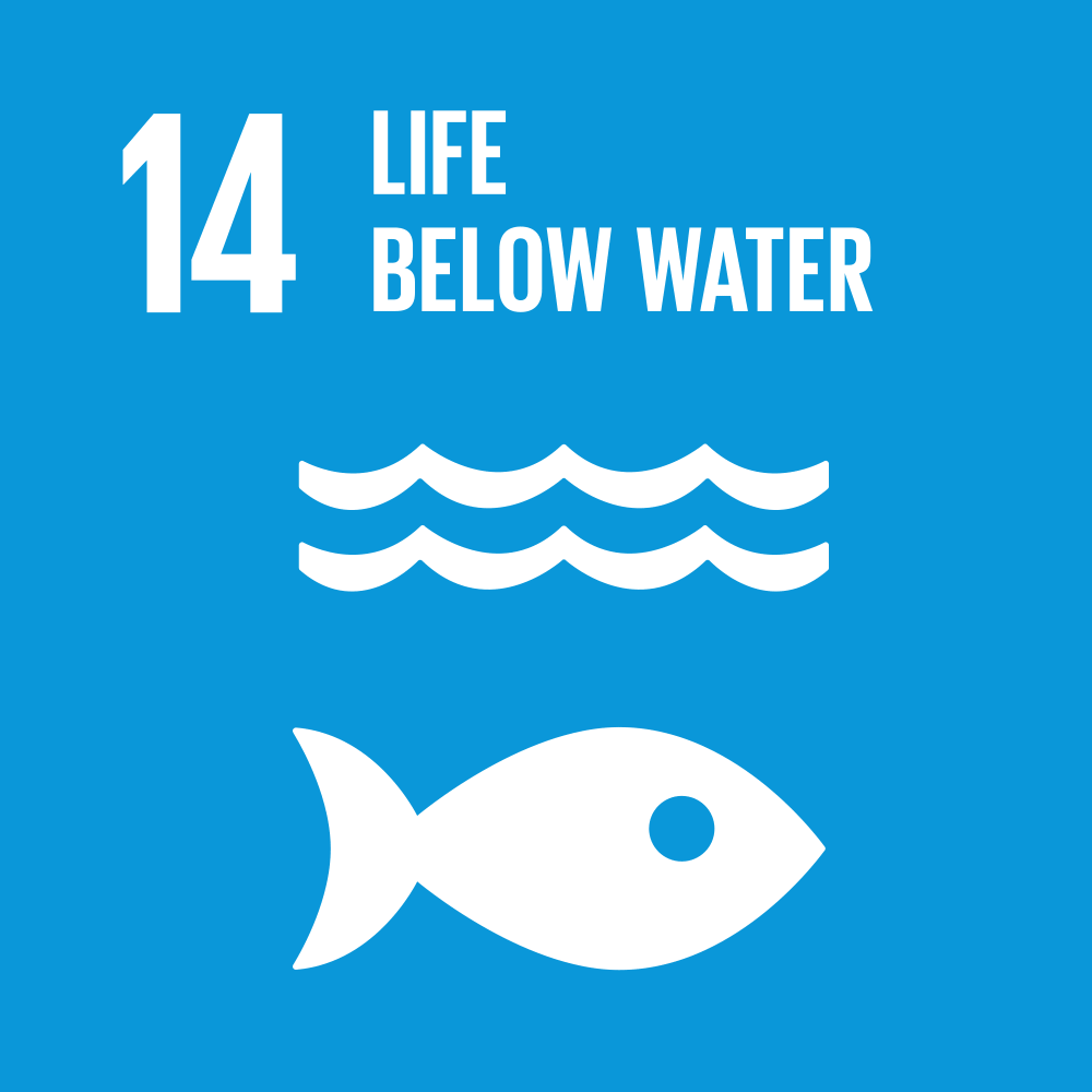 SDG 14 icon