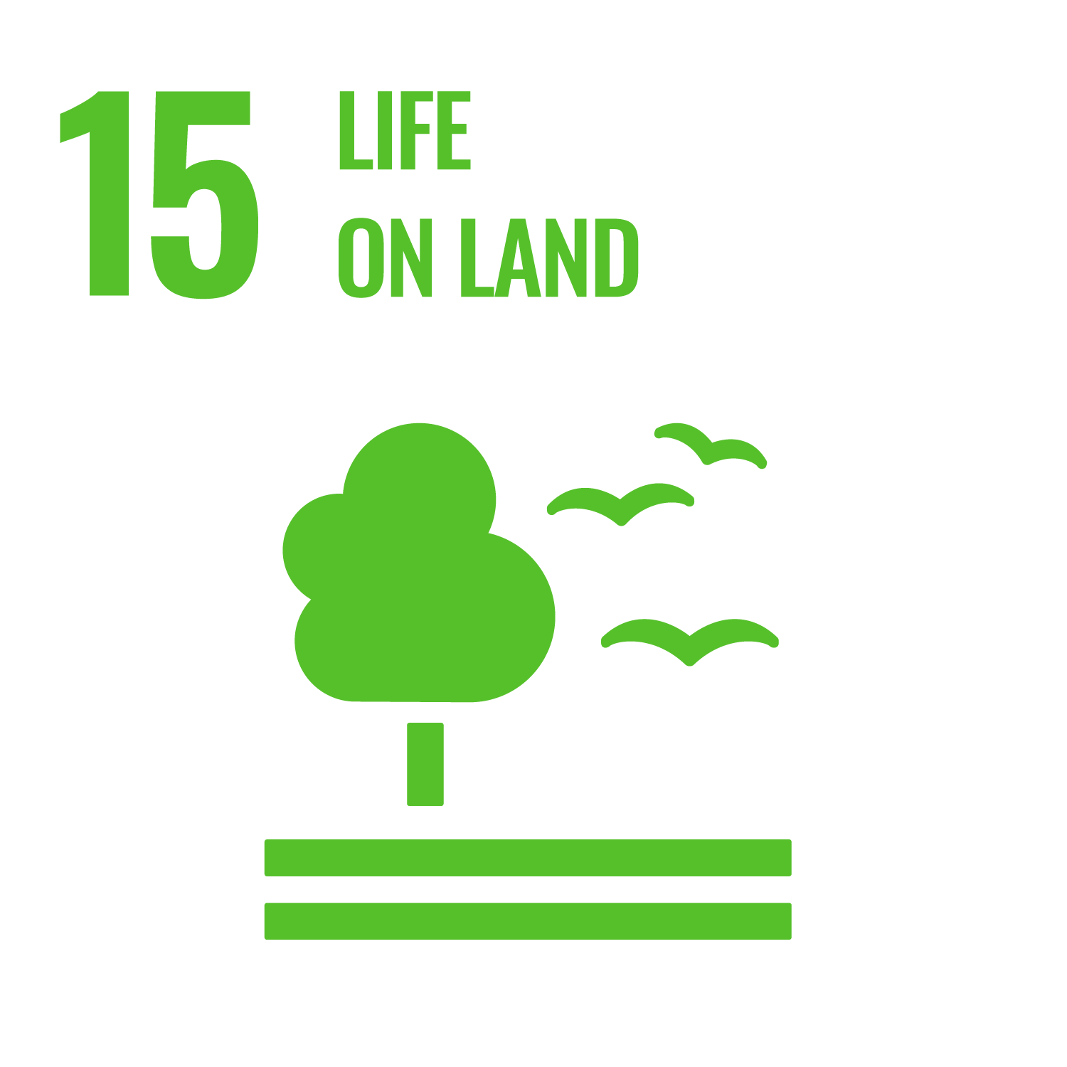 SDG 15 inverted icon