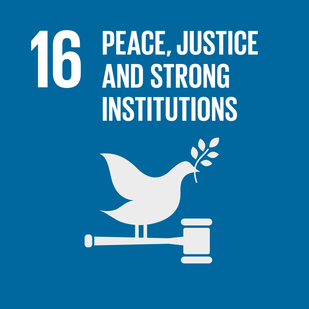 SDG 16 icon