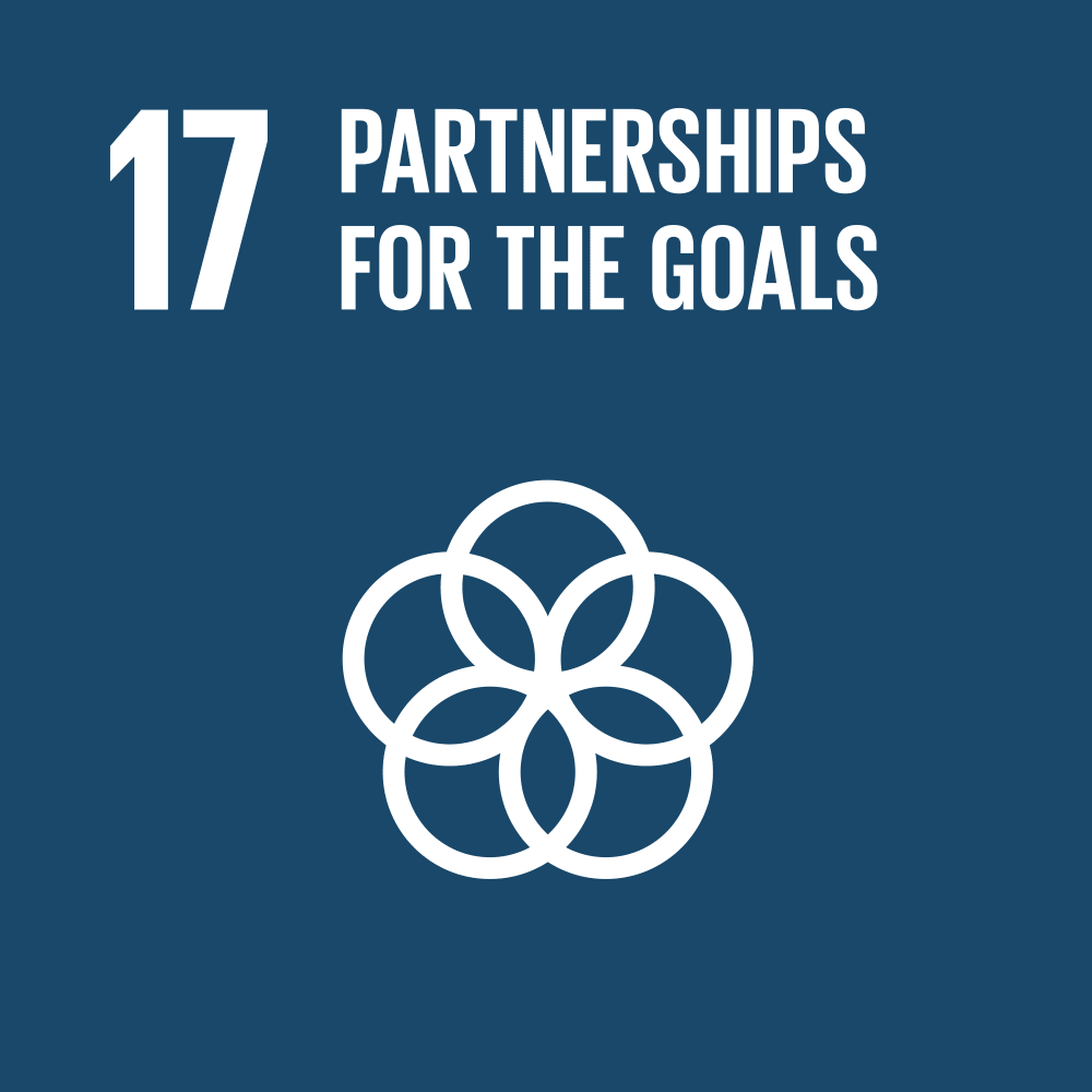 SDG 17 icon