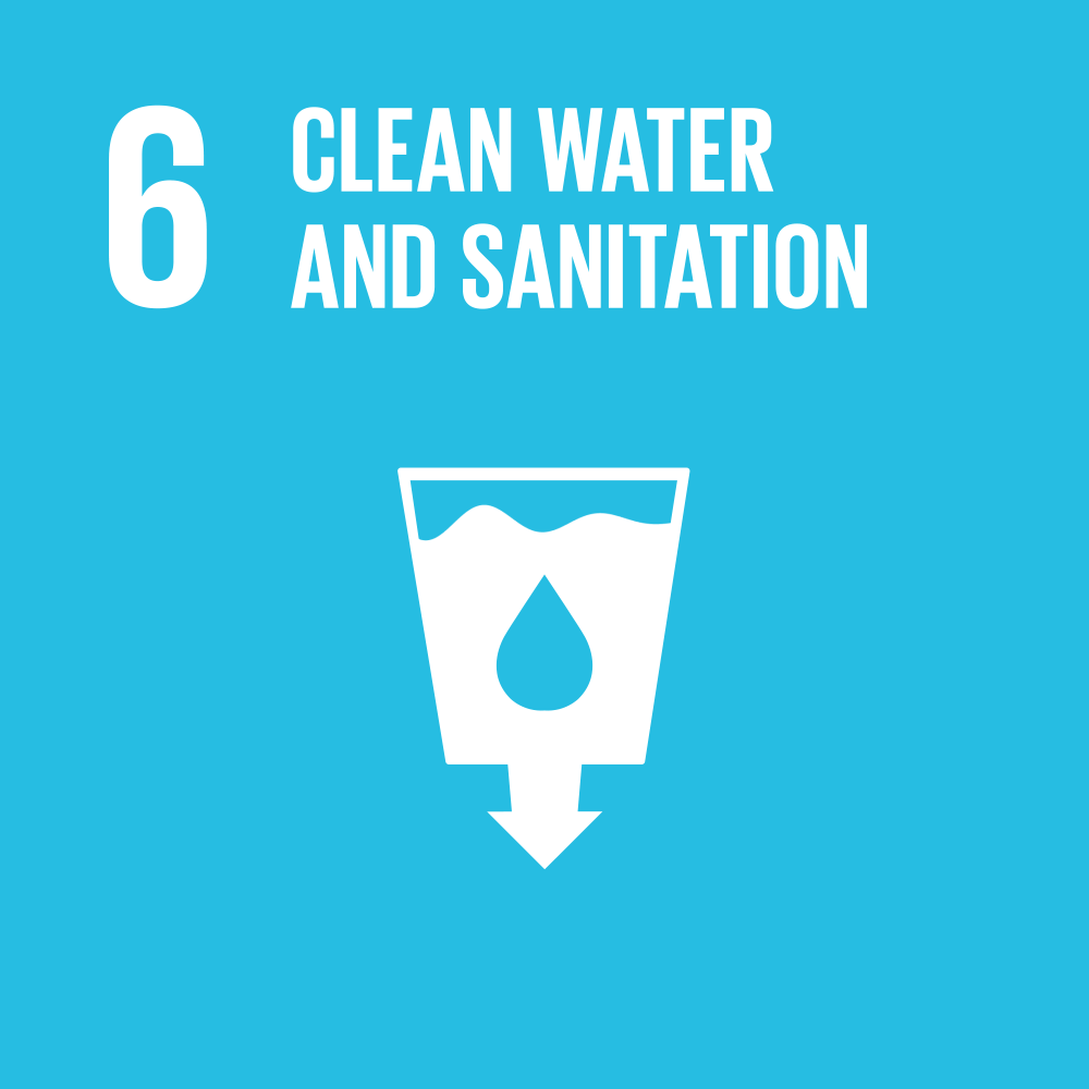 SDG 6 icon