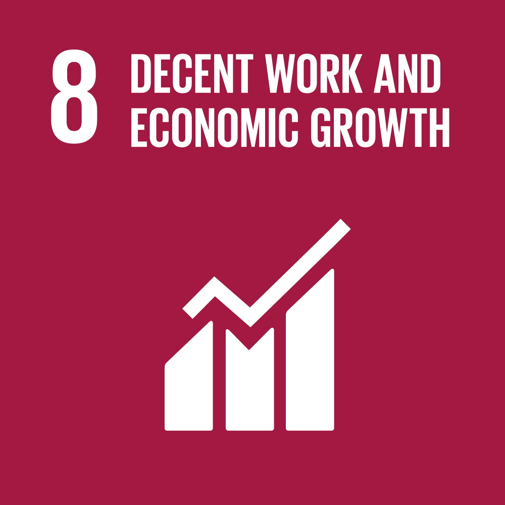 SDG 8 icon