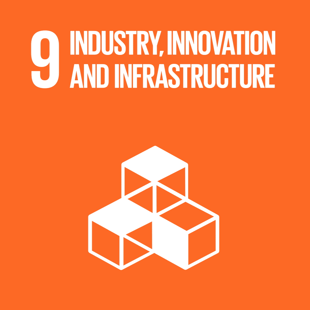SDG 9 icon